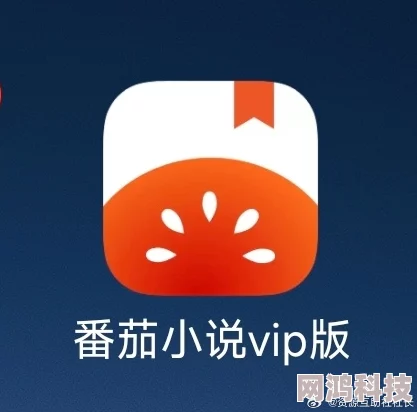 《番茄小说》VIP激活码免费领取，2025全新福利放送