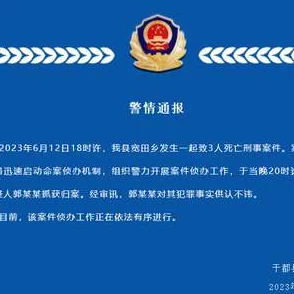 2025《这是警察》全案件全系统图文教程——第29天深度探讨：愿望公园肇事逃逸案与AI追踪技术