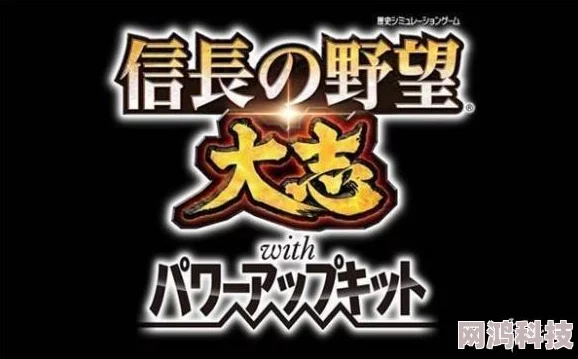 2025年热门策略游戏心得：信长之野望大志威力加强版新手入门全攻略